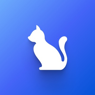 Логотип @dailycatcontent - Daily Cat Content