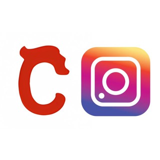 Логотип @dailycnfansfinds - CNFANS FINDS DAILY - JAMEY FINDS