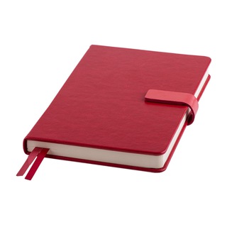 Логотип @dailyortoped - Ежедневник Ортопеда