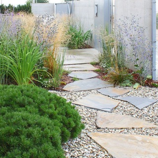 Логотип @dainekogroup - Dainekо про ландшафт