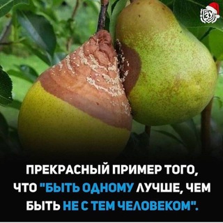 Логотип @dalnevostochnica - Дальневосточница 🌼