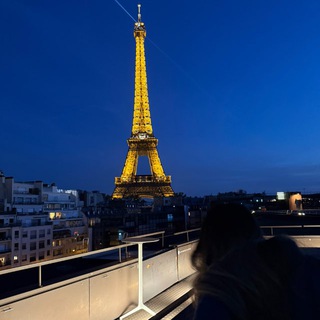 Логотип @damnzp - LOVE