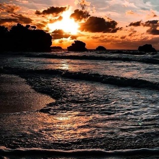 Логотип @dancing_with_wolves - Dancing with wolves