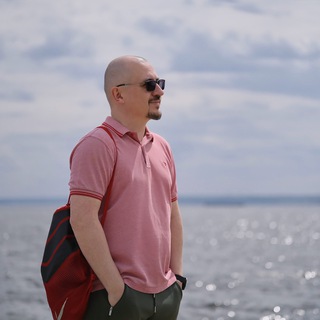 Логотип @danilinbiz - Ivan Danilin | WordPress