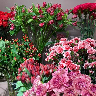 Логотип @dankachat - чааааааааат