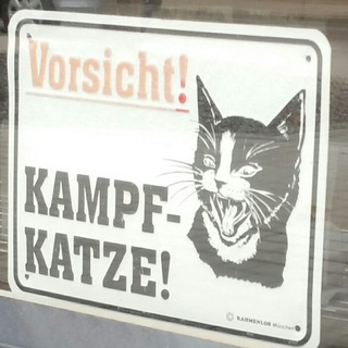 Логотип @danke_bitte - Бундес-записки