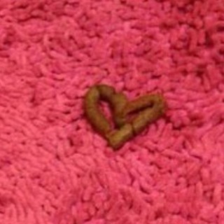 Логотип @dankjoint - Dank Joint