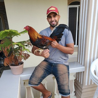 Логотип @dannicaba - Danni Caba