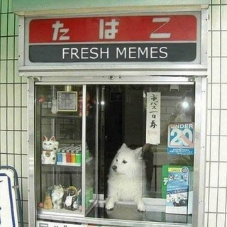 Логотип @danya_zi - Zi 😈