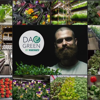 Логотип @daogree - Никита Махаев | Проектирование и запуск вертикальных ферм Daogreen Даогрин