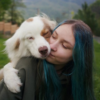 Логотип @darcy_kit - ✨Логово комфортных🐾