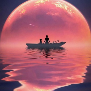 Логотип @darhkostfilm - Камент каналов