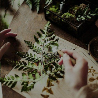 Логотип @darianmshnn - Ведьмина обитель