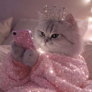 Логотип @dariashlyamova - Книги, кинчик и винчик 💓