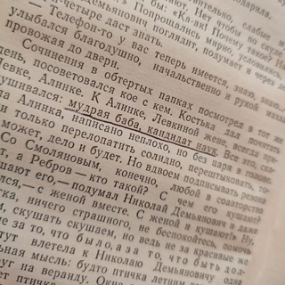 Логотип @darinettachpublic - дарина в командировке