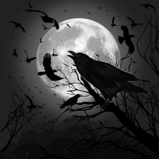 Логотип @dark_show_channel - Dark_Show_channel