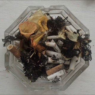 Логотип @darkakakadem - моя дарк академ любовь