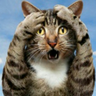 Логотип @darkcod - Код в мешке