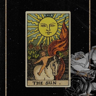 Логотип @darkforesttatochat - Магистр всего и сразу 🖤