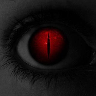 Логотип @darkmoney_shp - DarkMoney