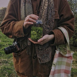 Логотип @darksunacademy - dark academia