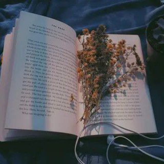 Логотип @darktemptation_0 - 𝓓𝓪𝓻𝓴 𝓣𝓮𝓶𝓹𝓽𝓪𝓽𝓲𝓸𝓷𝓼