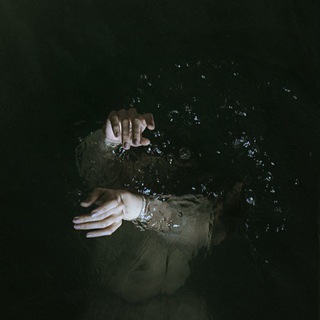 Логотип @darkwildness - Dark Aesthetic