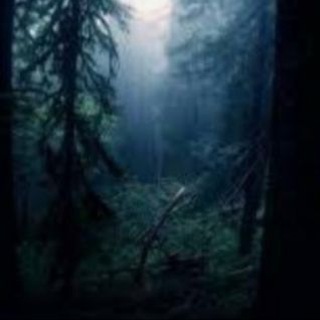 Логотип @darkwoodofic - Dark wood/Вызовы духов