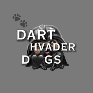 Логотип @darthvaderdogs - darth.vaderᶜʰᵃᶰᶰᵉᶫ