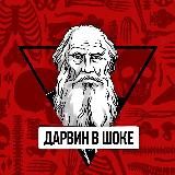 Дарвин в шоке