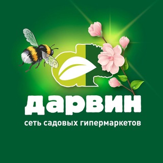 Логотип @darvinmarketru - Дарвин