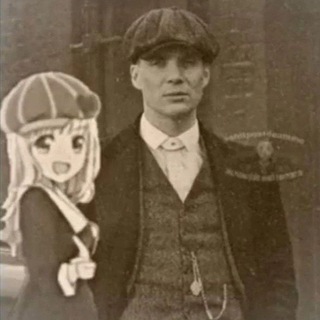 Логотип @darvinshow - DarvinShow