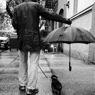 Логотип @darya34_34 - Помощь хвостикам darya34_34🐾