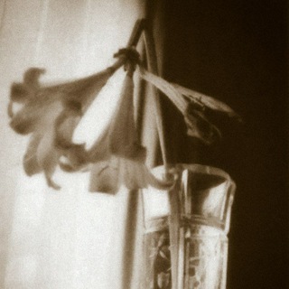 Логотип @daryasirina - сирина | поэзия