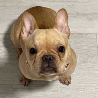 Логотип @dashastalkss - Dasha’s talks