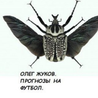 Логотип @dasss10tot - Прогнозы на футбол