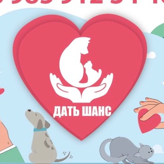 Логотип @dat_shanss - Бф «Дать Шанс»