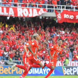 Логотип @datosamericanos - Datos América de Cali