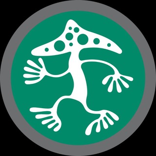 Логотип @datura_ru - DATURA