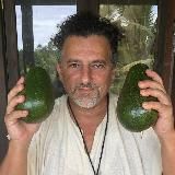 David Avocado Wolfe