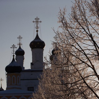 Логотип @davidovapustyn - Вознесенская Давидова пустынь