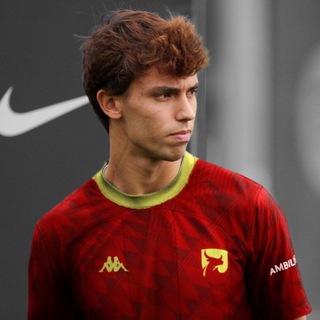 Логотип @davidyoung25 - 🇪🇸 David Young | Тюрип