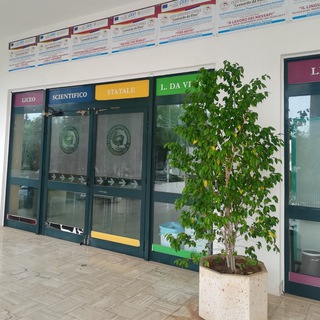 Логотип @davinciani - DaVinciMaglie social