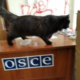 Логотип @davincicat - Кот да Винчи