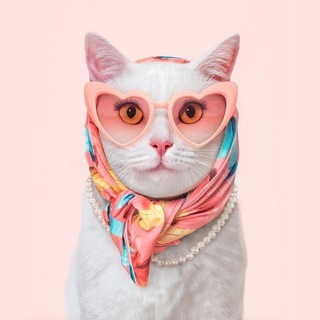 Логотип @davydovamari - Леди в тренде