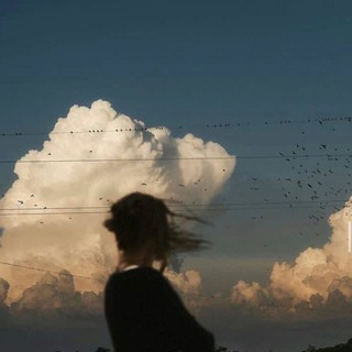 Логотип @daylymotivation - ~огонь в камине~