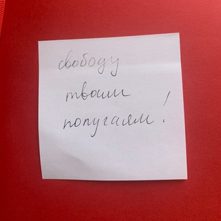 Логотип @days_of_the_year - Свободу попугаям