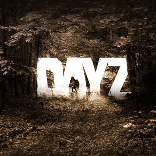 Логотип @dayzismylife - DAYZ ЭТО ЖИЗНЬ