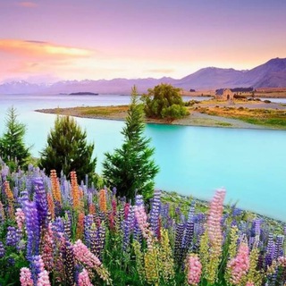 Логотип @dbromir - Прекрасный мир