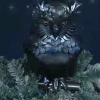 Логотип @dbstudio_1979 - "Фантазер"